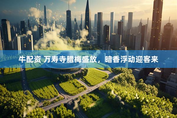 牛配资 万寿寺腊梅盛放，暗香浮动迎客来