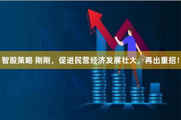 智股策略 刚刚，促进民营经济发展壮大，再出重招！