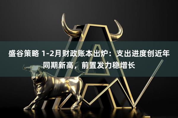 盛谷策略 1-2月财政账本出炉：支出进度创近年同期新高，前置发力稳增长