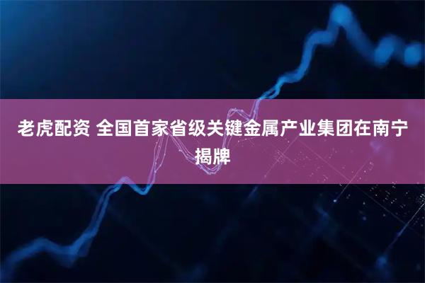 老虎配资 全国首家省级关键金属产业集团在南宁揭牌
