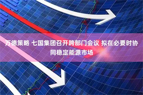 万德策略 七国集团召开跨部门会议 拟在必要时协同稳定能源市场