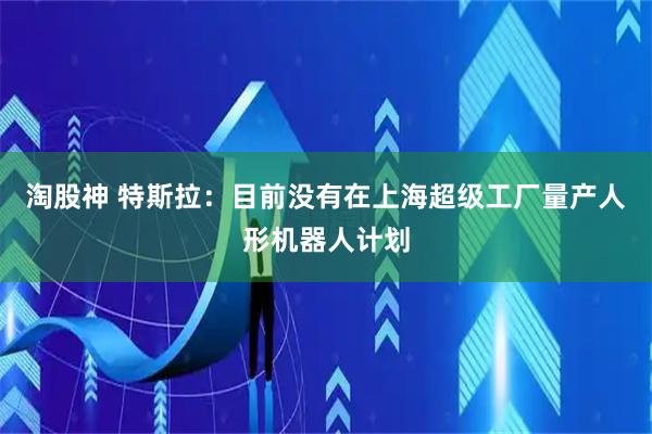 淘股神 特斯拉：目前没有在上海超级工厂量产人形机器人计划