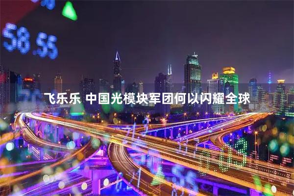 飞乐乐 中国光模块军团何以闪耀全球