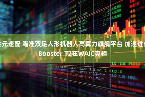 金元速配 瞄准双足人形机器人高算力旗舰平台 加速进化Booster T2在WAIC亮相
