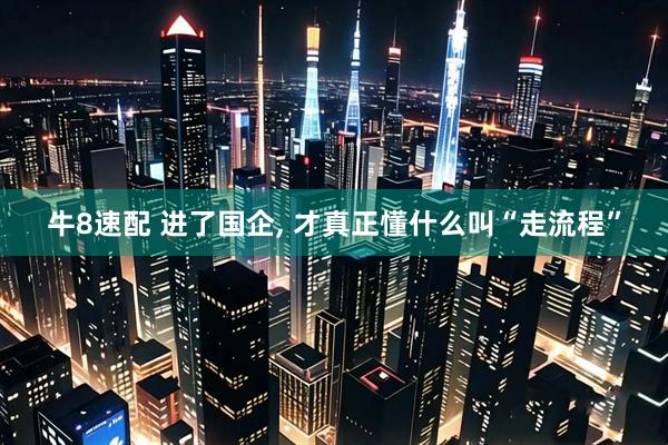 牛8速配 进了国企, 才真正懂什么叫“走流程”