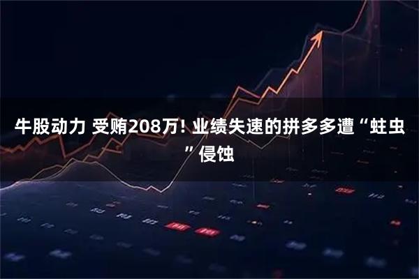 牛股动力 受贿208万! 业绩失速的拼多多遭“蛀虫”侵蚀