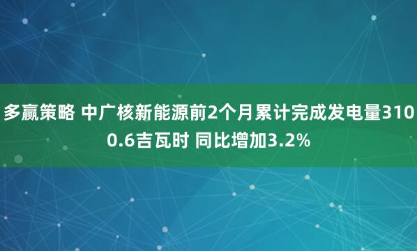 多赢策略 中广核新能源前2个月累计完成发电量3100.6吉瓦时 同比增加3.2%