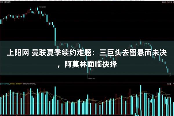 上阳网 曼联夏季续约难题:三巨头去留悬而未决,阿莫林面临抉择