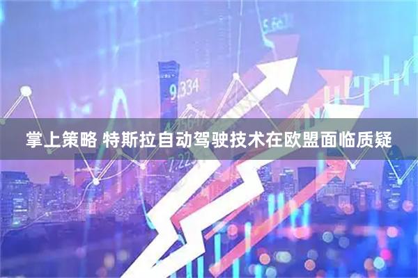 掌上策略 特斯拉自动驾驶技术在欧盟面临质疑